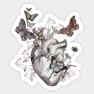 Heart butterflies 3 Sticker
